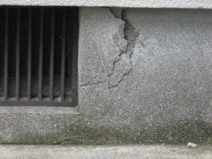 IMG_6185